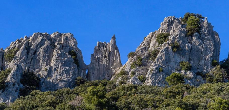 La randonnée des Dentelles de Montmirail : Un trésor naturel entre histoire et paysages époustouflants