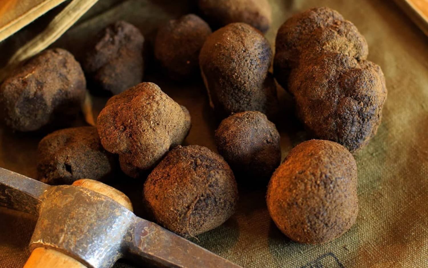 Crillon le Brave Terres de truffes 